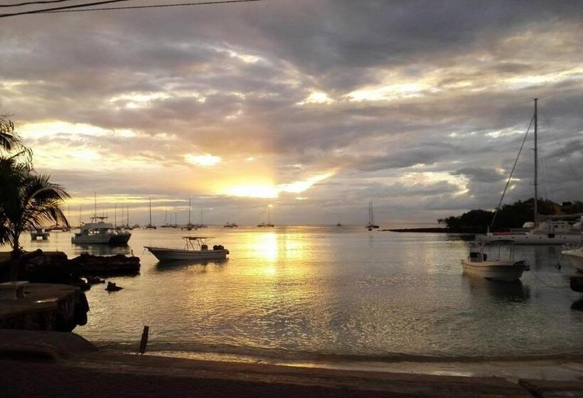 فندق صغير Oceanside Hotel & Pool