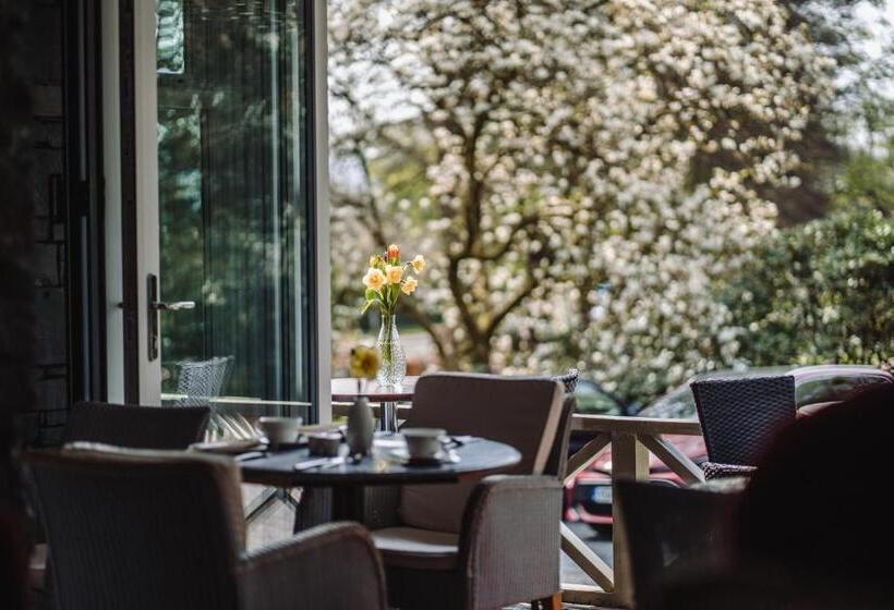 Ambleside Manor   Vegetarian B&b
