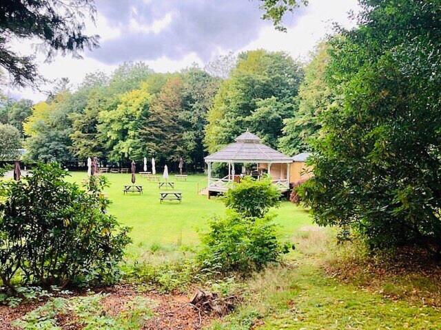 Ambleside Manor   Vegetarian B&b