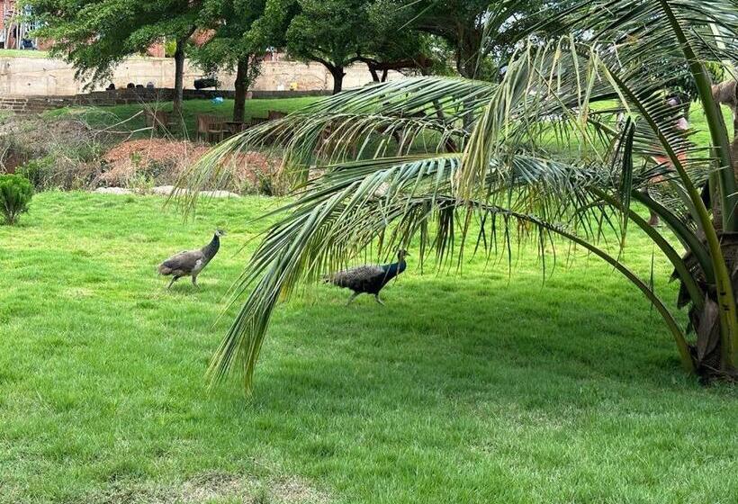 مبيت وإفطار Cozy Hill Gardens