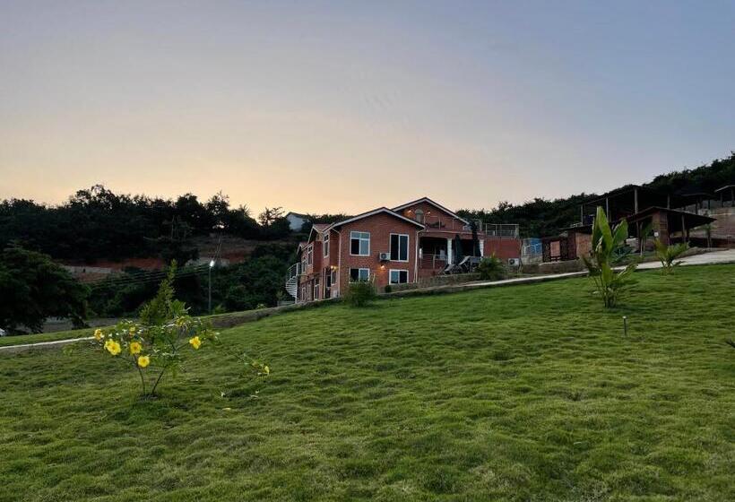 مبيت وإفطار Cozy Hill Gardens