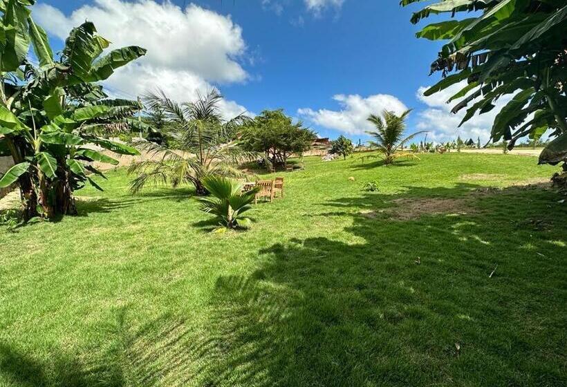 مبيت وإفطار Cozy Hill Gardens