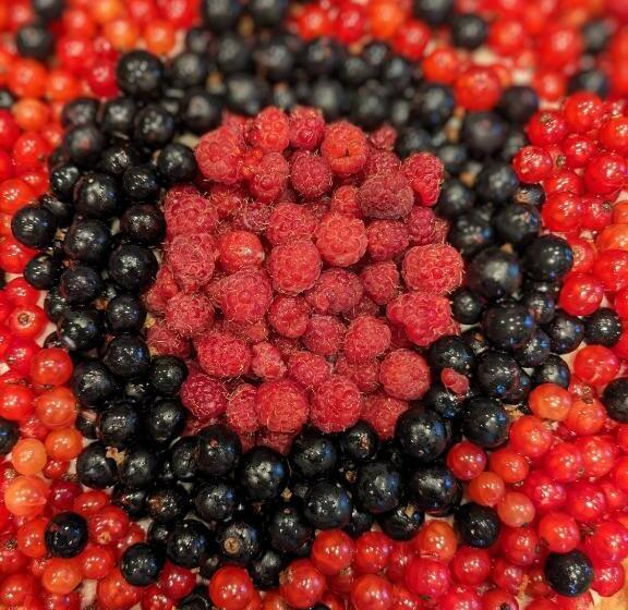 Bed and Breakfast Des Sapins Aux étoiles