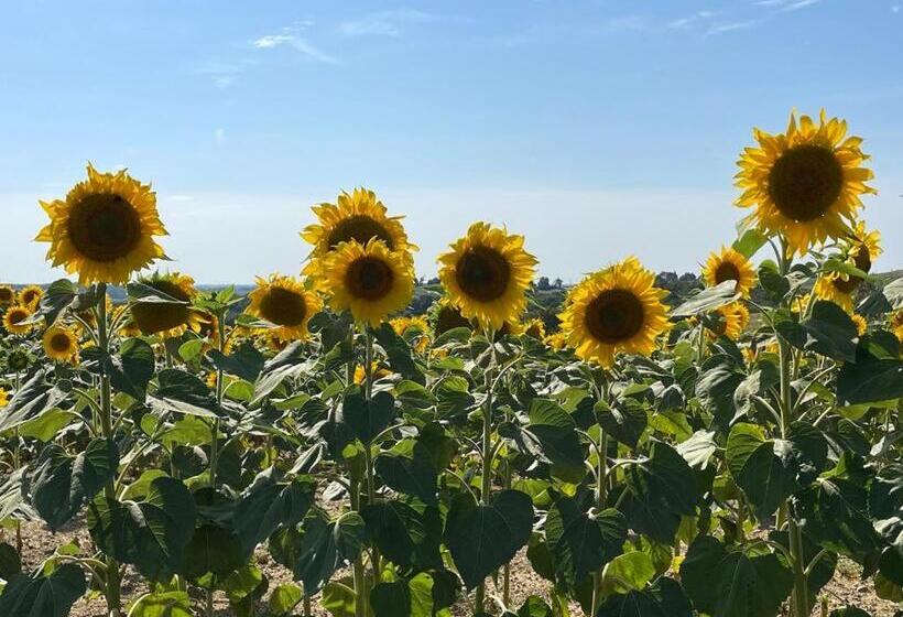 Bed and Breakfast Domaine De Calabel