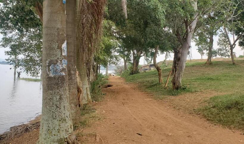 تختخواب و صبحانه Dream Day Cottages