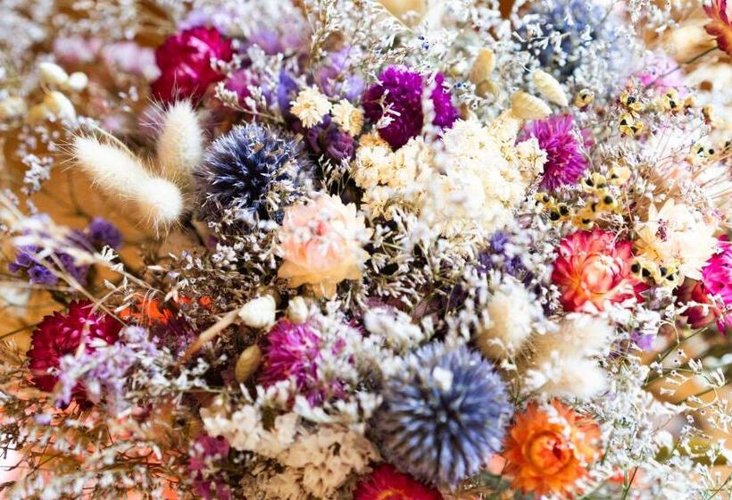 ベッドアンドブレックファースト La Pépite