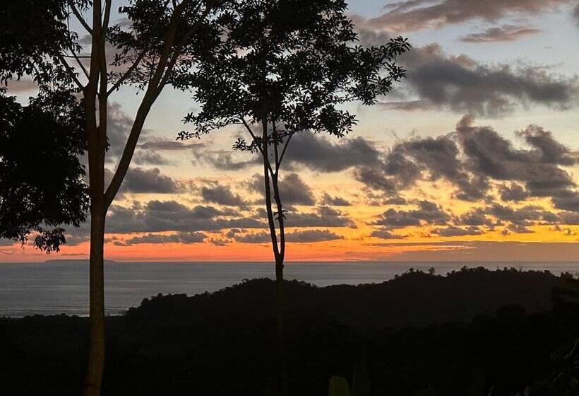 مبيت وإفطار Puraquetzal