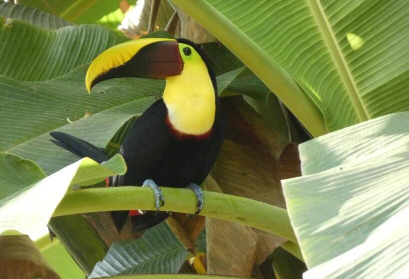 مبيت وإفطار Puraquetzal