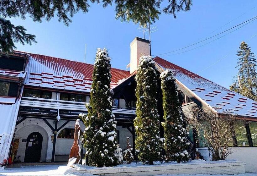 Breza Hotel Borovets