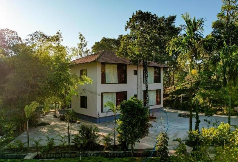 Green Tree Resort