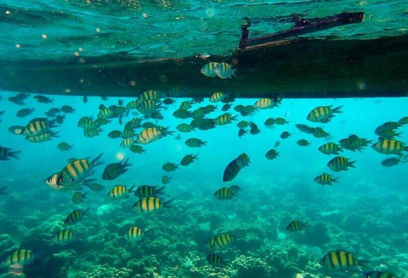 ホテル 普吉岛 安达曼海景度假村 Pl Andaman Seaview Resort