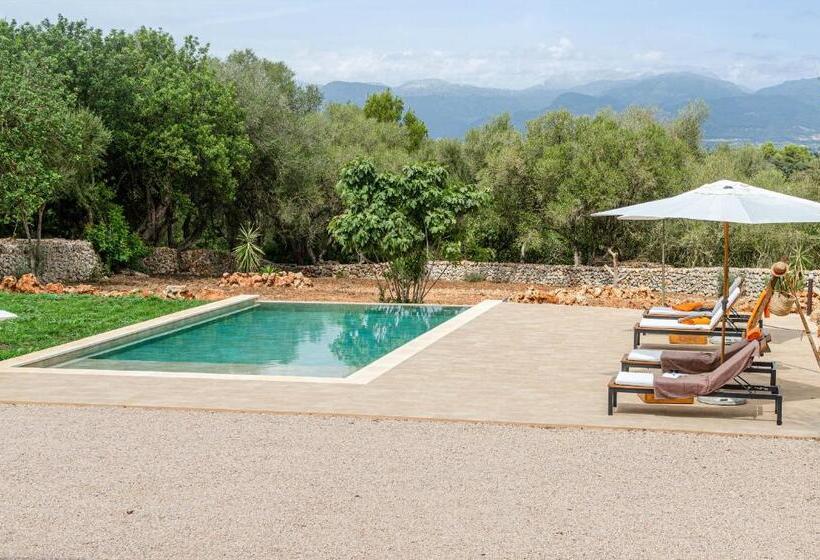 فندق Agroturismo Cal Tio 3 Yourhouse