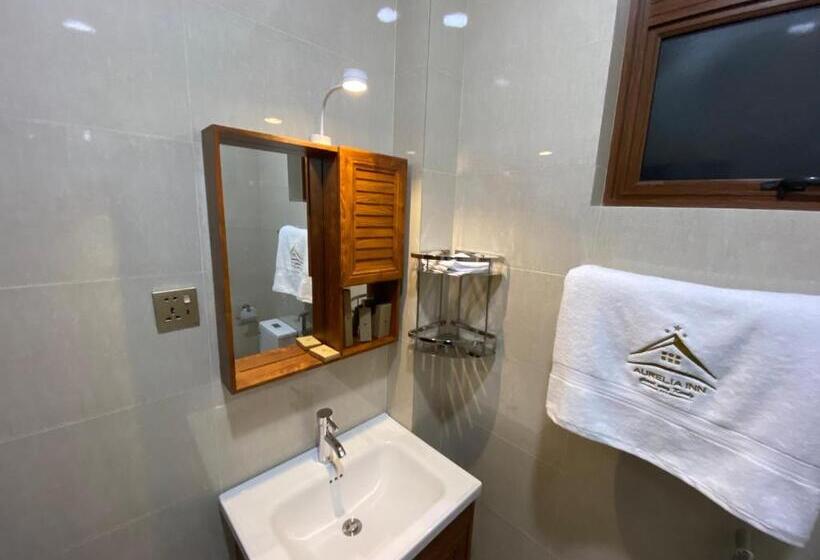 Отель Aurelia Inn