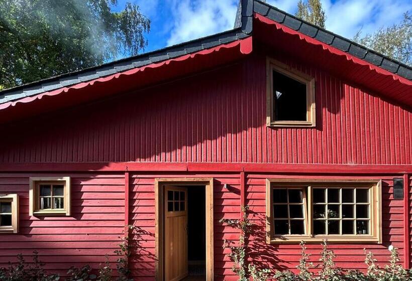 בית מלון כפרי Cabanes Avec Jacuzzi Les Pieds Dans La Vignes