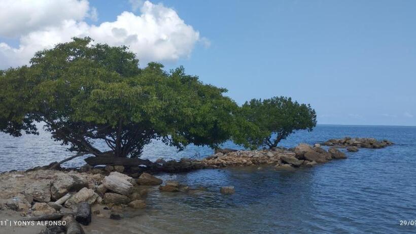 호텔 Hospedaje Los Almendros