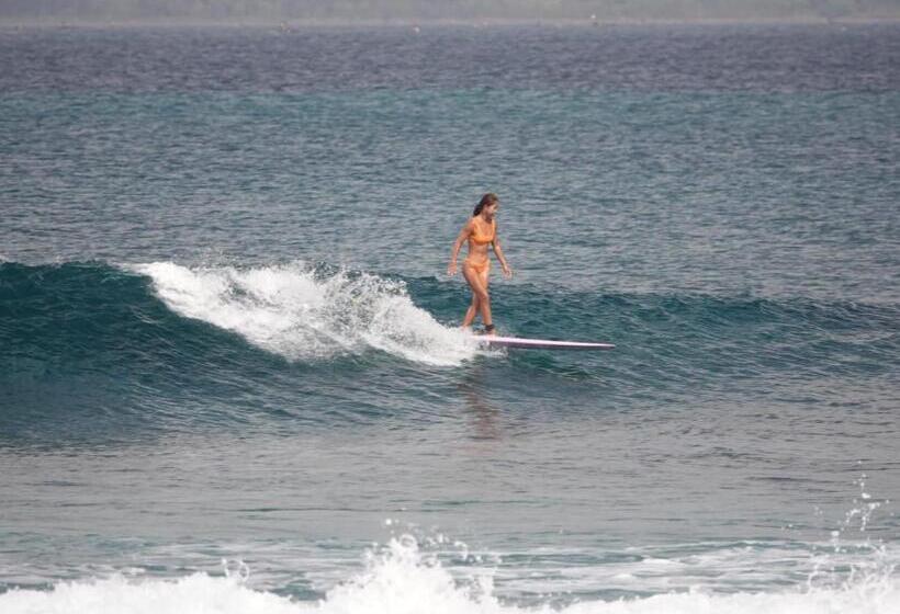 בית מלון כפרי Melody Surf Camp   Ekas Lombok