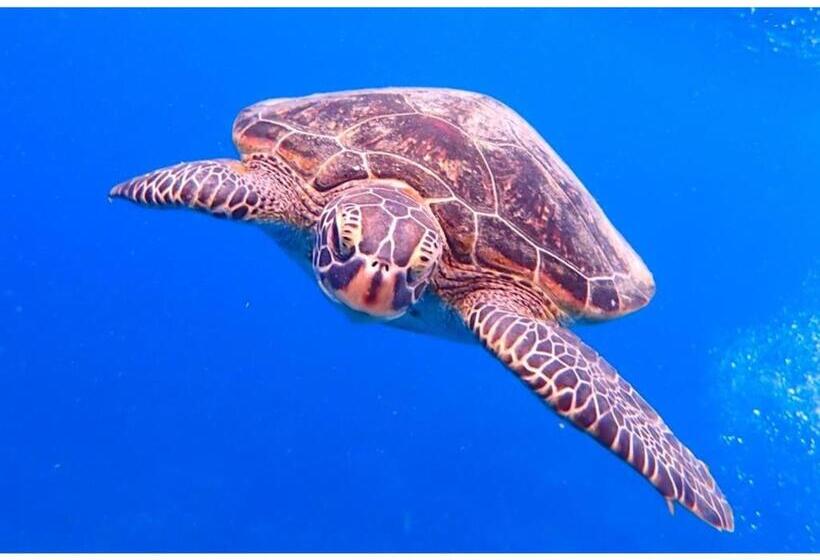 فندق Moriya Iriomote   Vacation Stay 08888v