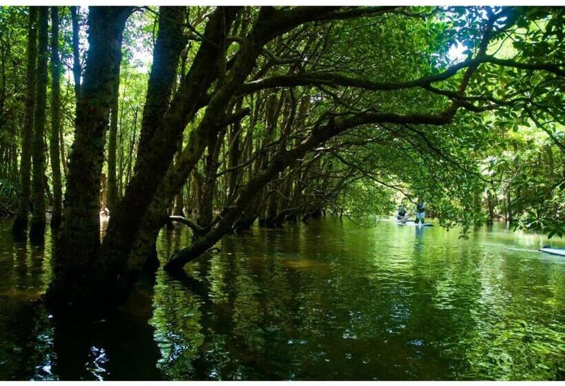 فندق Moriya Iriomote   Vacation Stay 08891v