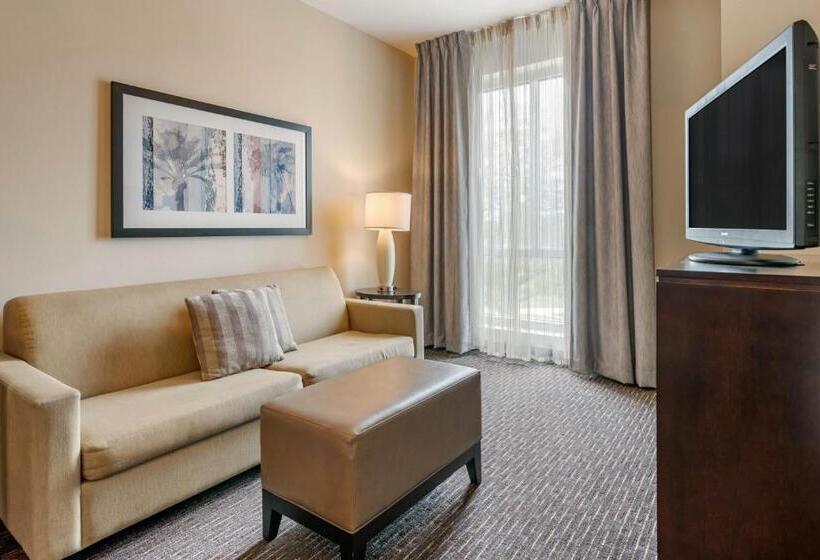 فندق Staybridge Suites Downtown St Petersburg Florida