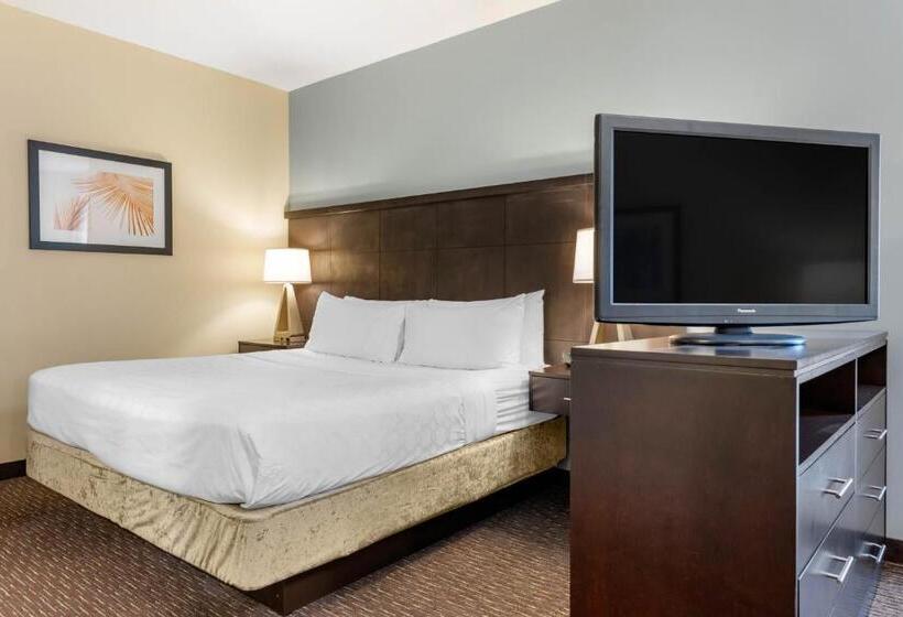 فندق Staybridge Suites Downtown St Petersburg Florida