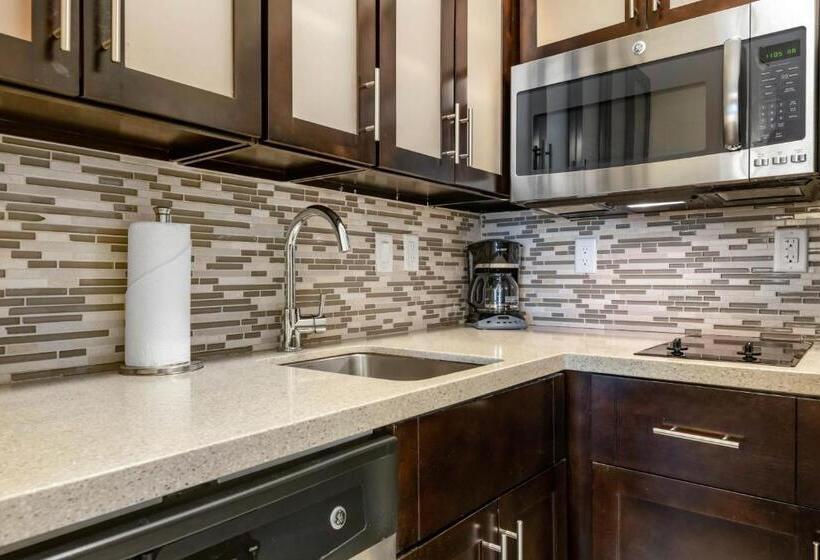 فندق Staybridge Suites Downtown St Petersburg Florida