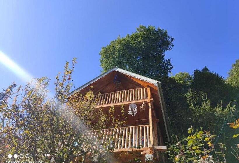 호텔 Tree House Jibhi The Hidden Cottage