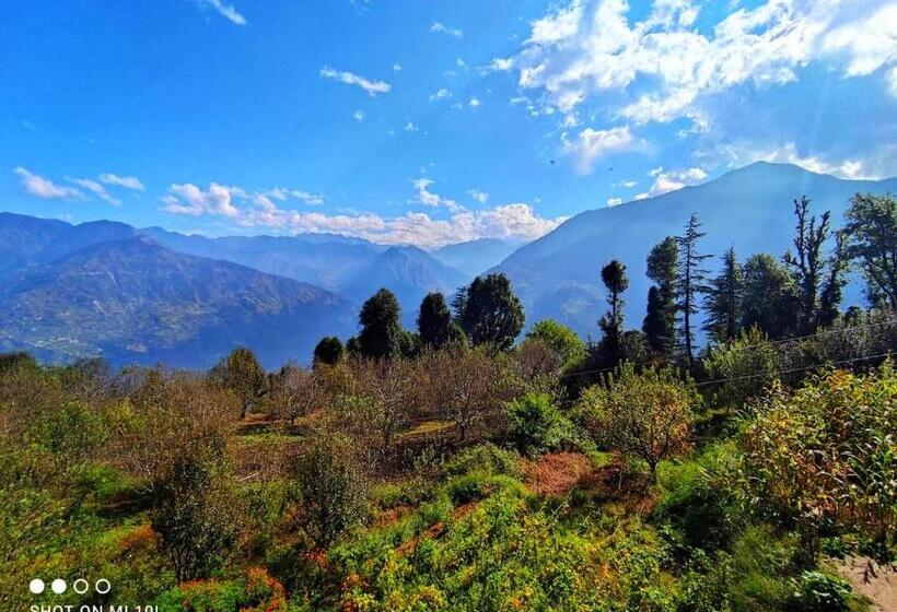 호텔 Tree House Jibhi The Hidden Cottage