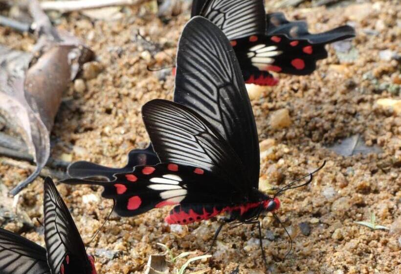 ホテル Wild Animal Viewpoint Udawalwe
