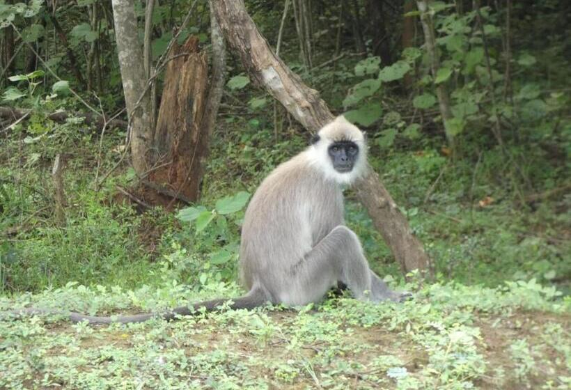 ホテル Wild Animal Viewpoint Udawalwe