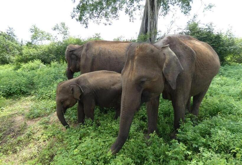 ホテル Wild Animal Viewpoint Udawalwe