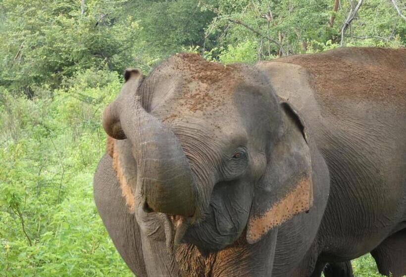 ホテル Wild Animal Viewpoint Udawalwe