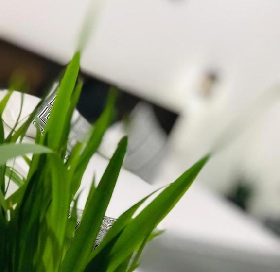 Ibeeza Motel   Bathigama