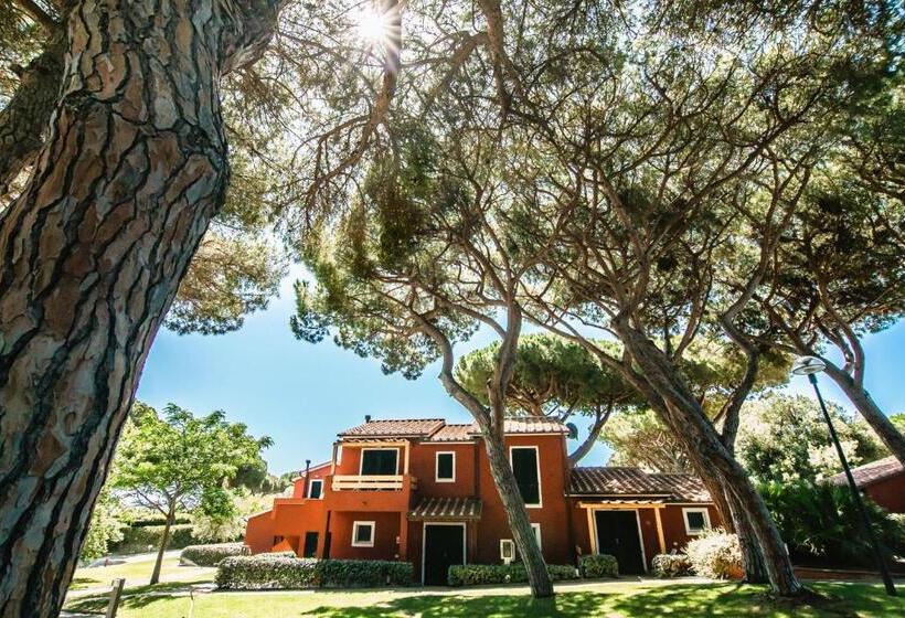 Isa Residence With Private Beach In Albinia, Just 100 Meters From The Sea, Apartments With Air Condi