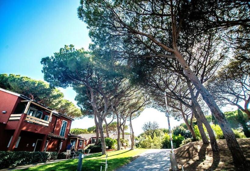 Isa Residence With Private Beach In Albinia, Just 100 Meters From The Sea, Apartments With Air Condi