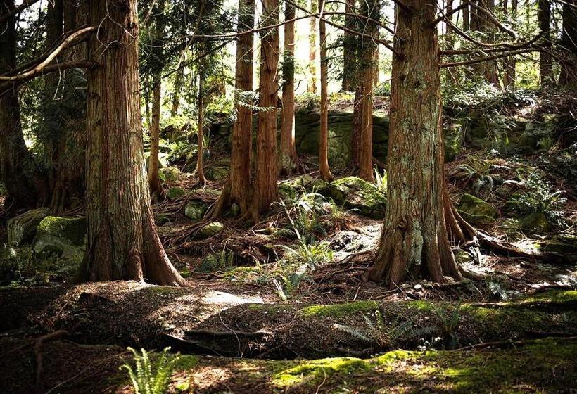 Page S Resort & Marina