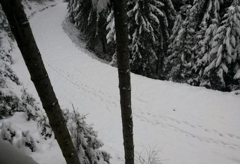 پانسیون Apartments Planinski Raj