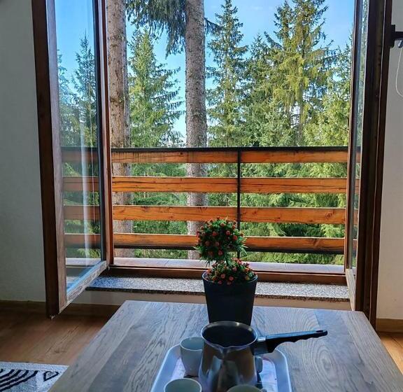 پانسیون Apartments Planinski Raj