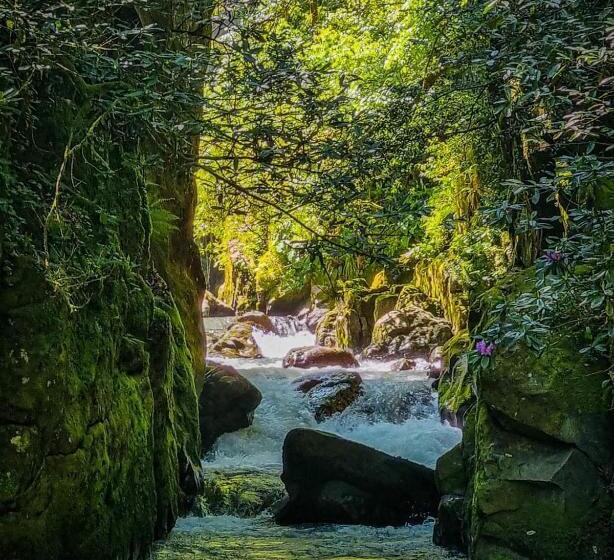 پانسیون Gorgiladze Resorts In Mtirala National Park