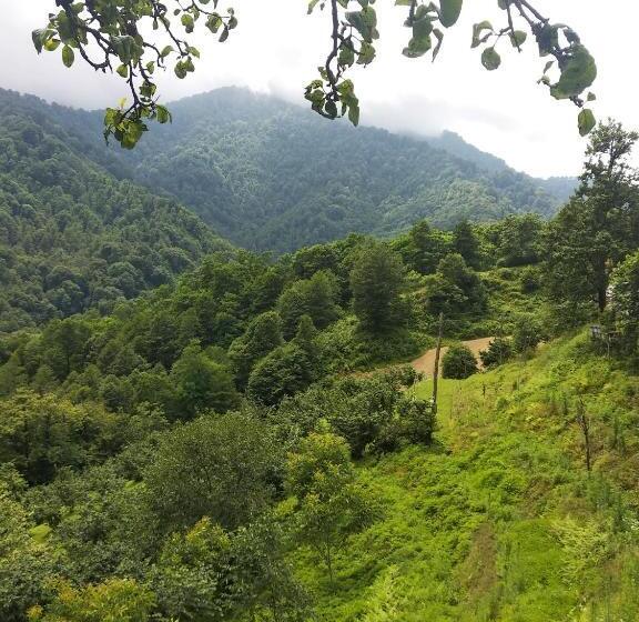 پانسیون Gorgiladze Resorts In Mtirala National Park