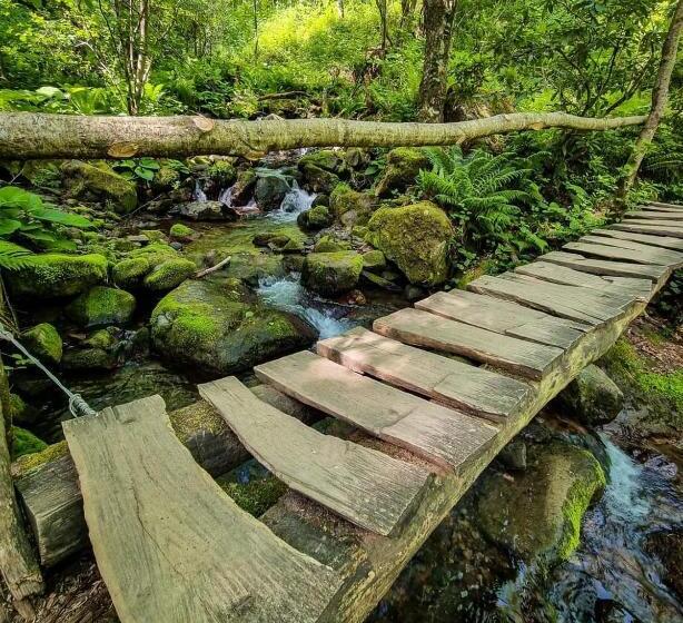 پانسیون Gorgiladze Resorts In Mtirala National Park