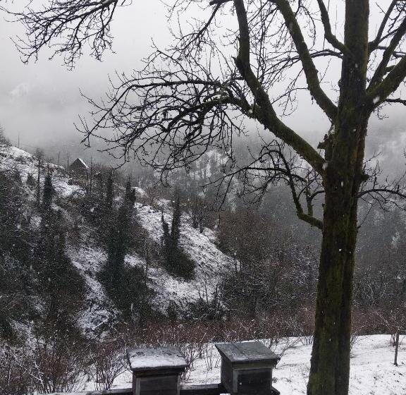 پانسیون Gorgiladze Resorts In Mtirala National Park