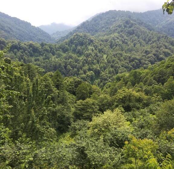 پانسیون Gorgiladze Resorts In Mtirala National Park