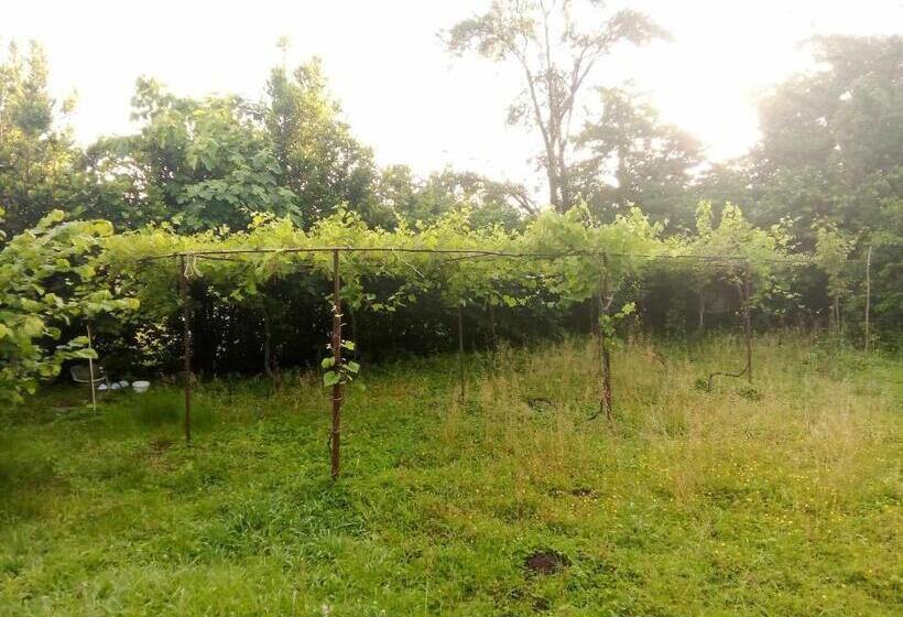 پانسیون Guesthouse Lasha