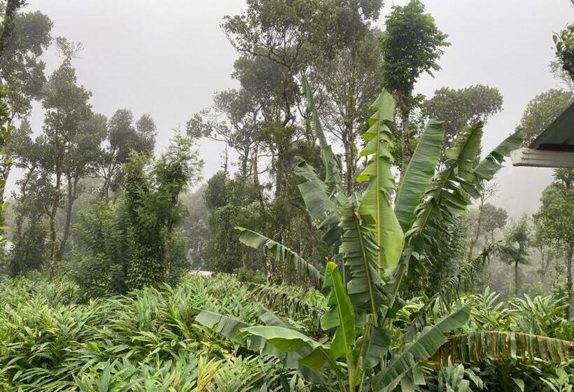 ペンション Heavenly Stay