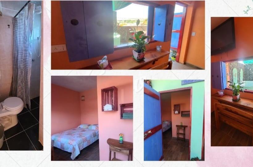 ペンション Hostal Bello Amanecer