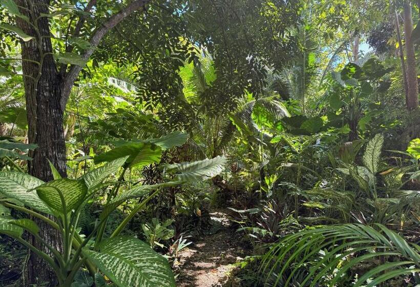 פנסיון Jungle Kingdomes Guest House