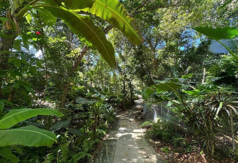 פנסיון Jungle Kingdomes Guest House