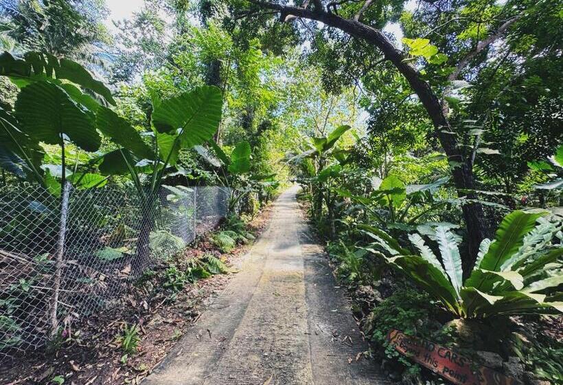 פנסיון Jungle Kingdomes Guest House