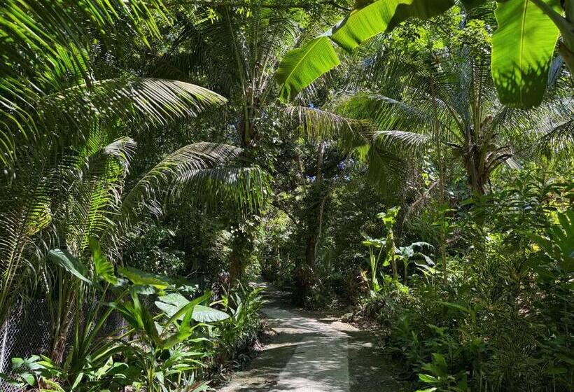 פנסיון Jungle Kingdomes Guest House