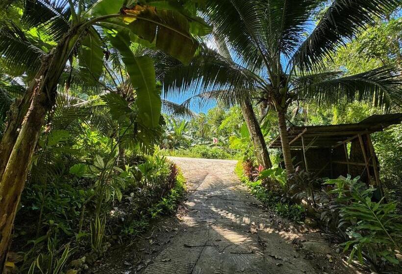 פנסיון Jungle Kingdomes Guest House